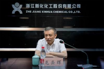 省税务局党委书记、副局长龙岳辉莅临公司调研